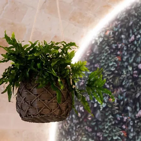 Leaves' Πανσιόν Monopoli